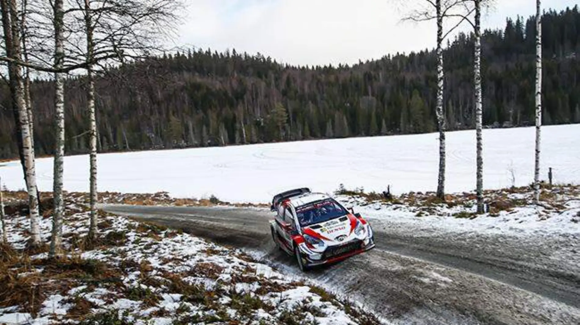 rally de suecia